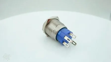 Wdele 19mm Waterproof Start 15A High Current Pushbutton Switch with LED Light